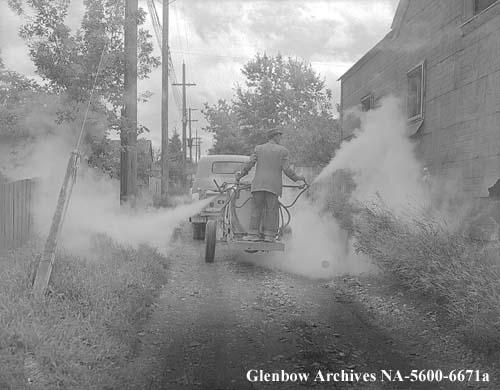 DDT Spraying alleys, Calgary, Alberta. August 1954